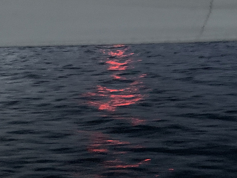 An ocean sunset Capt. Tom Acker, my great-grandfather, may have seen in his Atlantic runs on The G. W. Pousland or The W. E. Wilson schooners he captained. An ocean sunset Capt. Tom Acker, my great-grandfather, may have seen in his Atlantic runs on The G. W. Pousland or The W. E. Wilson schooners he captained.